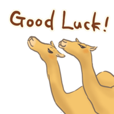 Easygoing Camel sticker #8932172