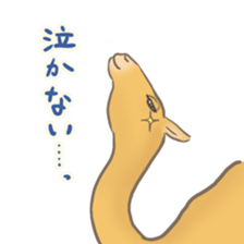 Easygoing Camel sticker #8932175