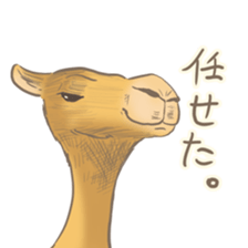Easygoing Camel sticker #8932176
