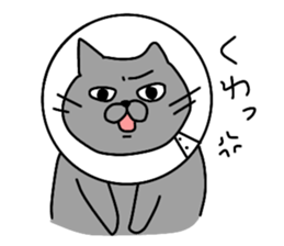 Cat's life !! sticker #8935633
