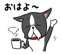 BostonTerrier! sticker #8937424