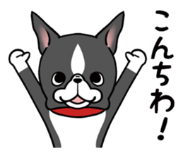 BostonTerrier! sticker #8937425