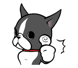 BostonTerrier! sticker #8937428