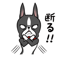 BostonTerrier! sticker #8937429
