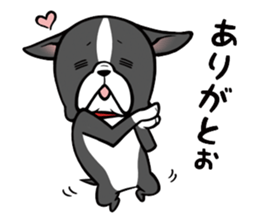BostonTerrier! sticker #8937430