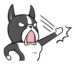 BostonTerrier! sticker #8937431
