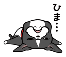 BostonTerrier! sticker #8937433