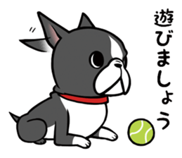 BostonTerrier! sticker #8937434