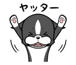 BostonTerrier! sticker #8937435