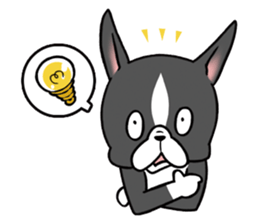 BostonTerrier! sticker #8937436