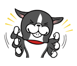 BostonTerrier! sticker #8937437