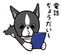 BostonTerrier! sticker #8937438