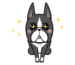 BostonTerrier! sticker #8937439