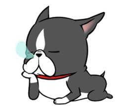 BostonTerrier! sticker #8937442