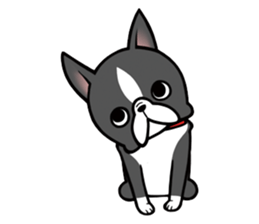 BostonTerrier! sticker #8937443
