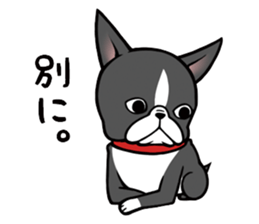 BostonTerrier! sticker #8937445