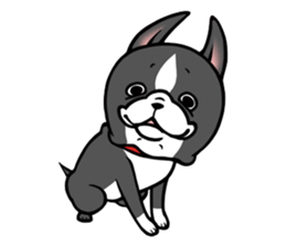 BostonTerrier! sticker #8937446