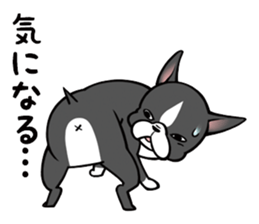 BostonTerrier! sticker #8937447