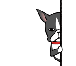 BostonTerrier! sticker #8937449