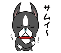 BostonTerrier! sticker #8937455