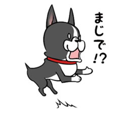BostonTerrier! sticker #8937457