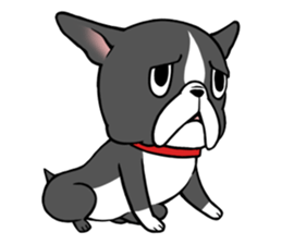 BostonTerrier! sticker #8937461