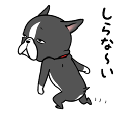 BostonTerrier! sticker #8937463