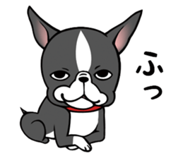 BostonTerrier! sticker #8937465