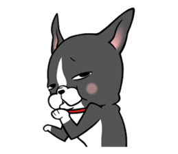 BostonTerrier! sticker #8937473