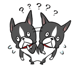 BostonTerrier! sticker #8937475