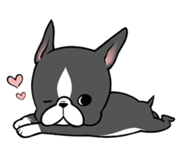 BostonTerrier! sticker #8937479