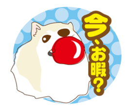 Pomeranian and daily life's conversation sticker #8941184
