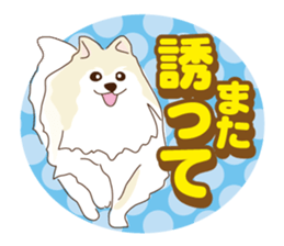 Pomeranian and daily life's conversation sticker #8941185