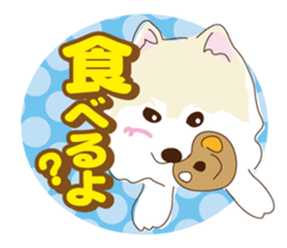 Pomeranian and daily life's conversation sticker #8941186