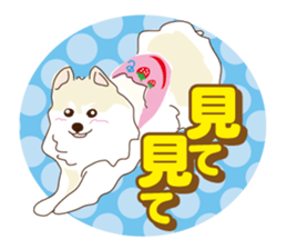 Pomeranian and daily life's conversation sticker #8941187