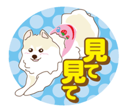 Pomeranian and daily life's conversation sticker #8941187