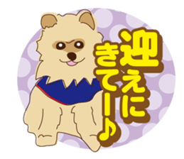 Pomeranian and daily life's conversation sticker #8941188