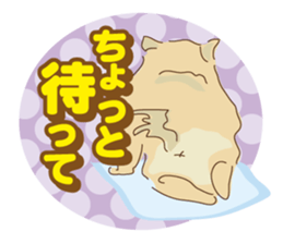 Pomeranian and daily life's conversation sticker #8941189
