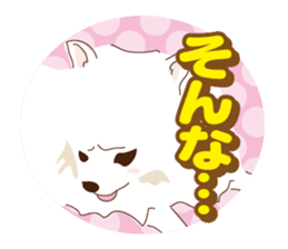 Pomeranian and daily life's conversation sticker #8941199