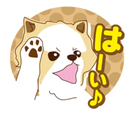 Pomeranian and daily life's conversation sticker #8941205