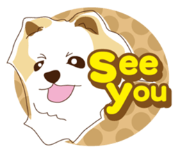Pomeranian and daily life's conversation sticker #8941206