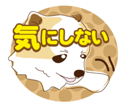 Pomeranian and daily life's conversation sticker #8941207
