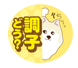 Pomeranian and daily life's conversation sticker #8941209