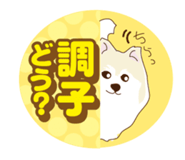 Pomeranian and daily life's conversation sticker #8941209