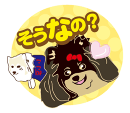 Pomeranian and daily life's conversation sticker #8941211