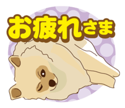 Pomeranian and daily life's conversation sticker #8941213