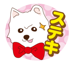 Pomeranian and daily life's conversation sticker #8941214