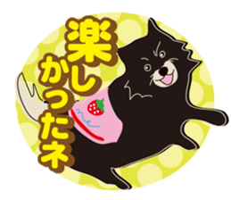 Pomeranian and daily life's conversation sticker #8941216