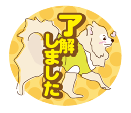 Pomeranian and daily life's conversation sticker #8941219