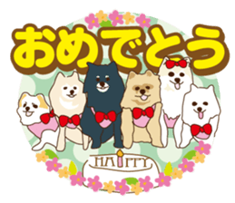 Pomeranian and daily life's conversation sticker #8941220